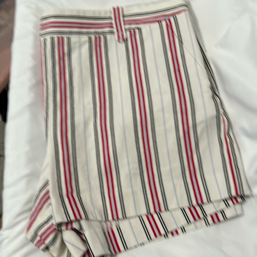 Loft shorts